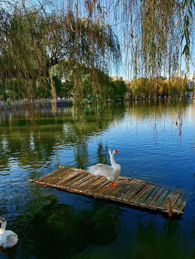 100% Perfect Photo Opportunities by Cuihu Lake in Autumn – Enjoy a Relaxing Off-Peak Stay at Crowne Plaza Kunming City Centre
