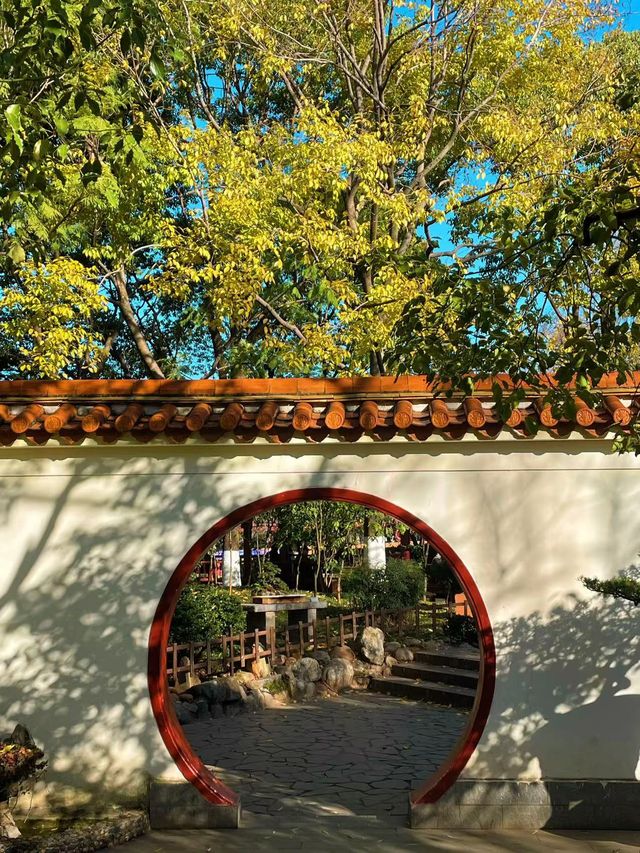 100% Perfect Photo Opportunities by Cuihu Lake in Autumn – Enjoy a Relaxing Off-Peak Stay at Crowne Plaza Kunming City Centre