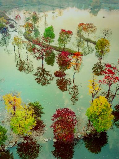 Red, orange, yellow, green—the most beautiful autumn