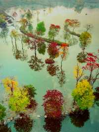 紅橙黃綠 ，最美秋天