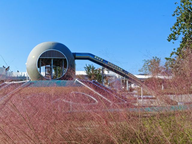 在粉紅疊翠中遠眺劉公島