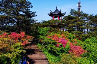 Macheng One-Day and One-Night Budget Travel Guide: Explore Nature and Culture for 200 RMB, Enjoy Beautiful Scenery