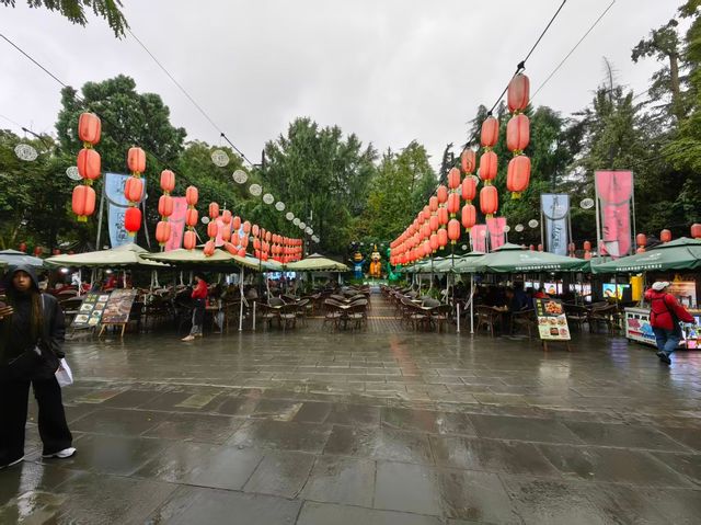 煙雨錦里漫步指南 煙雨錦里漫步指南