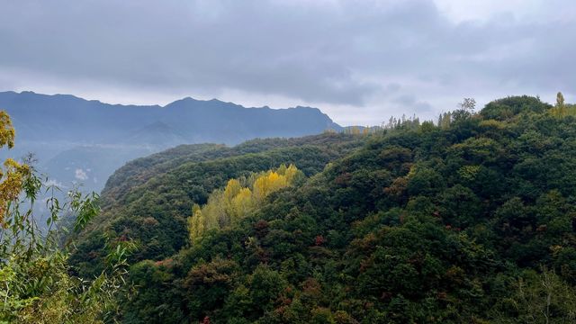 鄭州｜週末活動彙總賞秋專線
