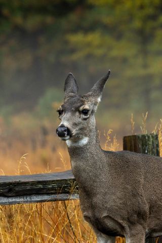 미국 2일 여행｜합리적인 패키지, 놓치지 마세요!