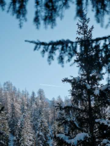 Free Winter Walk to Val Fex – Switzerland’s Quiet Alpine Paradise