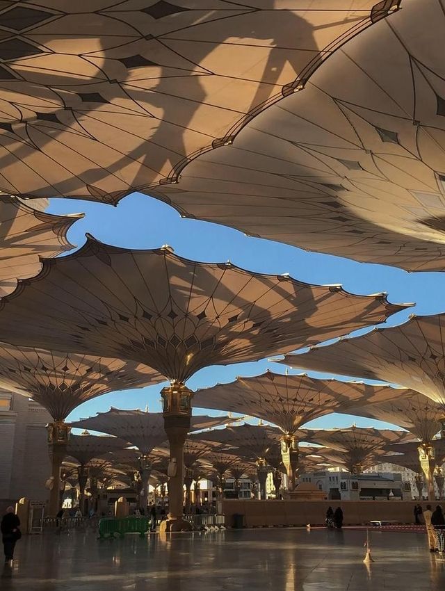 Bismillah!印尼兄弟姊妹的麥加副朝攻略,神聖之旅也能輕鬆又溫馨🌙 Bismillah!印尼兄弟姊妹的麥加副朝攻略,神聖之旅也能輕鬆又溫馨🌙