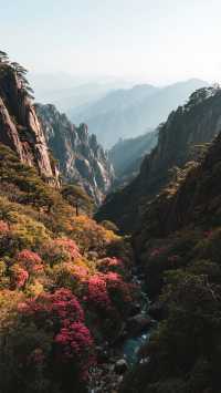 11月三清山四天三晚，玩轉天下第一仙山！住進雲海仙境！