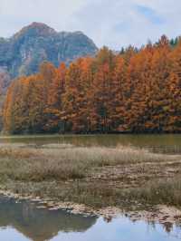 陝西絕美水上森林秋日限定版仙境風景！