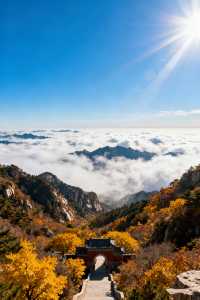 家庭遊好去處！山東日遊超高性價比