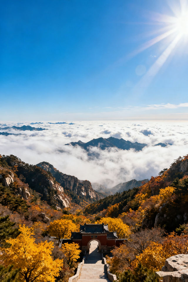 家庭遊好去處！山東日遊超高性價比