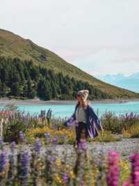 新西蘭南島旅遊走對順序,次回本