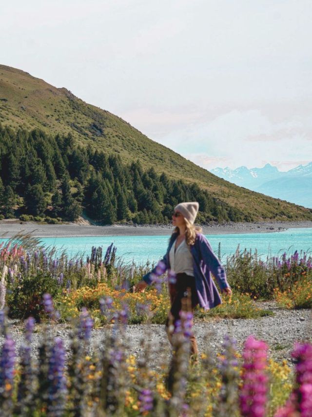 新西蘭南島旅遊走對順序,次回本 新西蘭南島旅遊走對順序,次回本