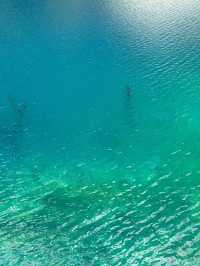 掉進川西紅葉童話成都周邊撿秋攻略！