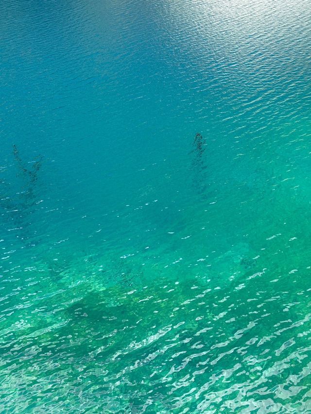 掉進川西紅葉童話成都周邊撿秋攻略！