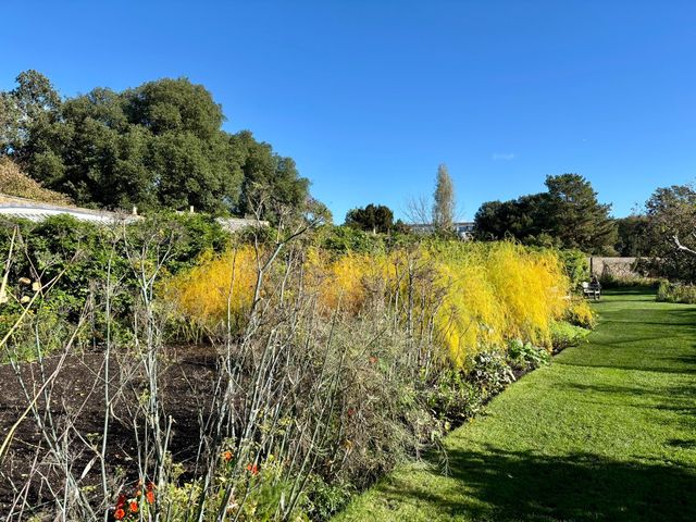 Exploring Fulham Palace