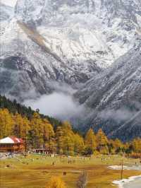 畢棚溝彩林觀賞指南11-12月絕美雪景避坑全攻略