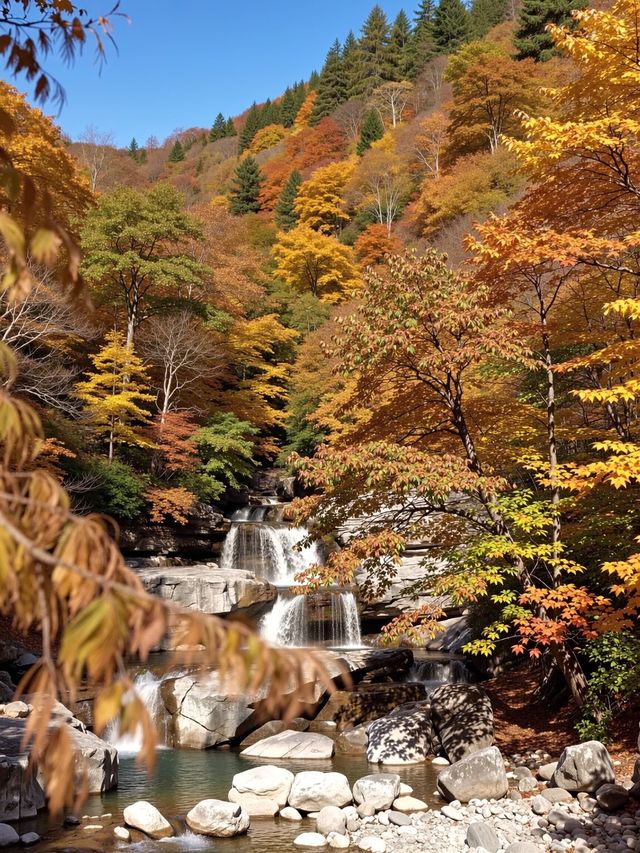 免費紅葉秘境指南 免費紅葉秘境指南