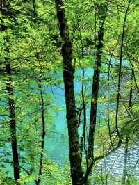 川西松平溝秘境99%的人都不知道的寶藏地