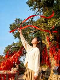 別再只知道武功山了！郴州莽山才是真·寶藏！   “本以為武功山的雲海已經夠絕，直到我來了莽山五指峰！