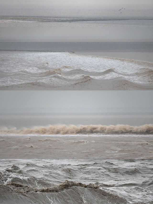 是小學課本上的海寧鹽官錢塘江觀潮