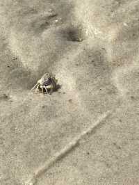 北海漫記：在無界海風裡治癒時光