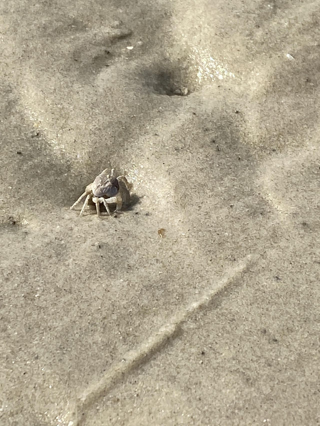 北海漫記：在無界海風裡治癒時光