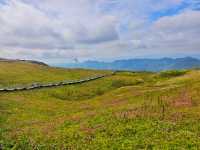 藏在貴州的 “高山小草原”，騎馬看雲超治癒！  貴州一處能 “假裝在內蒙古” 的寶藏地 —— 二台坡