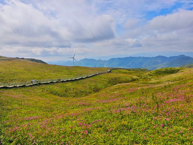 藏在貴州的 “高山小草原”，騎馬看雲超治癒！  貴州一處能 “假裝在內蒙古” 的寶藏地 —— 二台坡