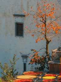 江西賞秋寶藏地