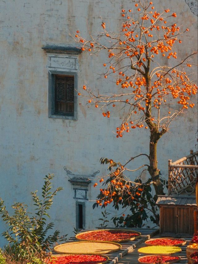 江西賞秋寶藏地