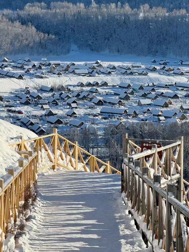 雪落人間，把世界裹成純白童話