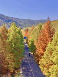 南京99%的人都不知道這裡， 出片還人少