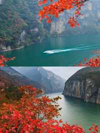 三峽之巔徒步｜紅葉季漫山紅遍絕美超治癒