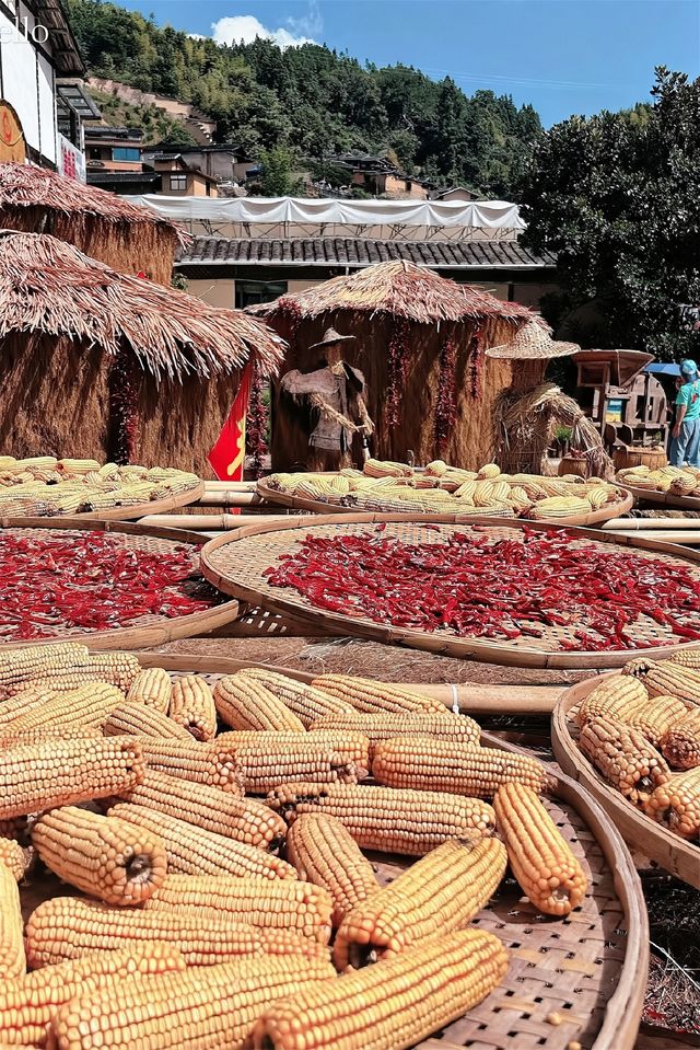 沉浸800年古村的曬秋畫卷與人間煙火 沉浸800年古村的曬秋畫卷與人間煙火