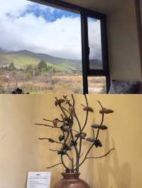 冬天……麗江現狀 真的太美啦