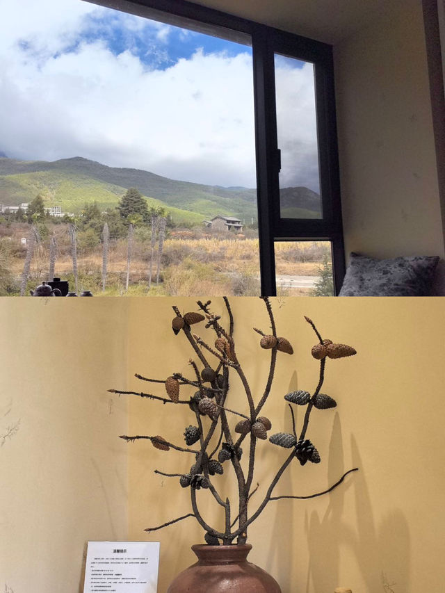 冬天……麗江現狀 真的太美啦