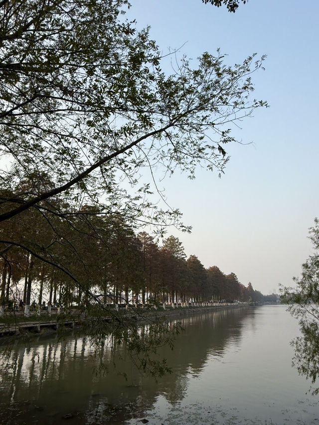 武漢 / 東湖景區