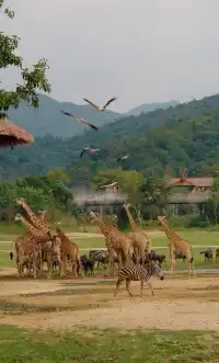 12月很適合去的旅行目的地推薦