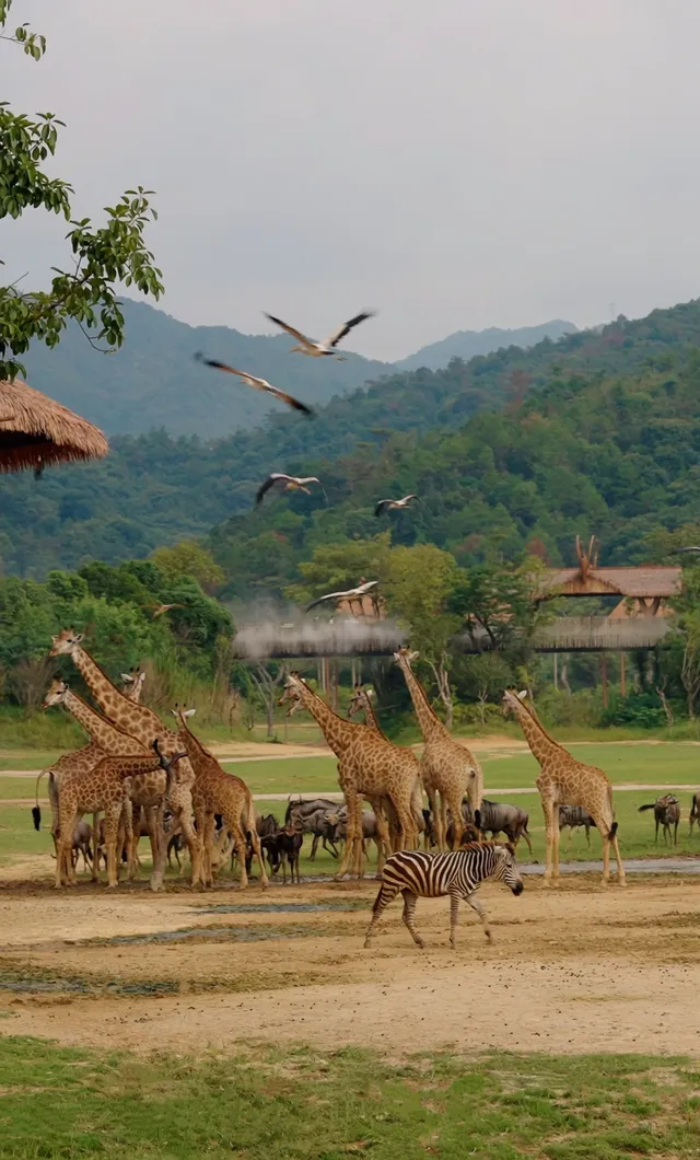 12月很適合去的旅行目的地推薦