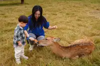 2h直達上海周邊遛娃聖地南通野生動物