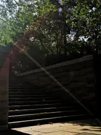 絕絕子!西安免費唐風公園封神啦