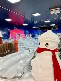 不用去北歐！惠州就能撸真企鵝+冰雪滑梯！