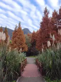 貴陽初冬·唯一想去無數次的公園