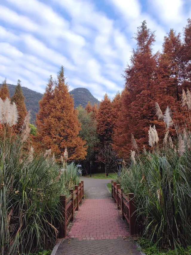貴陽初冬·唯一想去無數次的公園