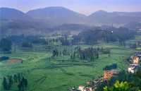 《國家地理》沒騙我羅平螺絲田真的和宣傳圖一樣美!冬春限定