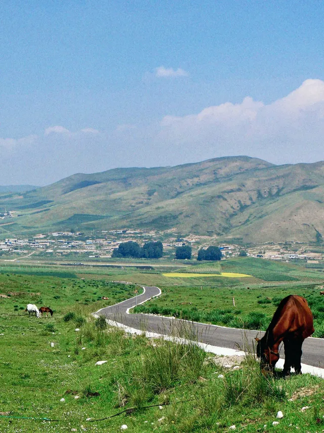 七月的抓喜秀龍草原