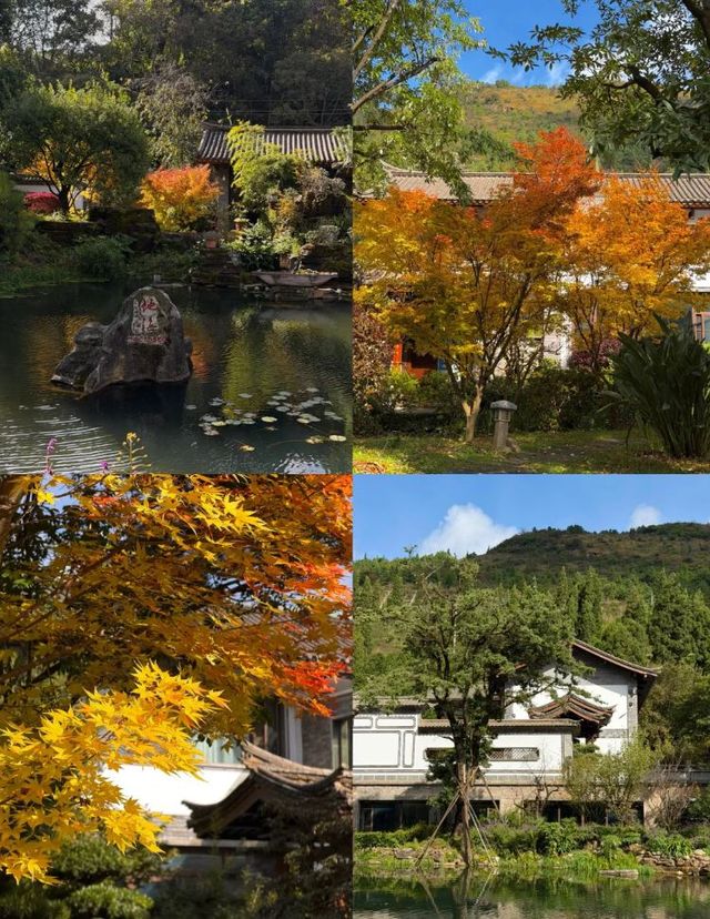 昆明等地5天遊這些隱藏玩法必看