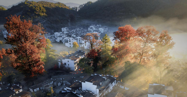 婺源石城秋日行攝全攻略｜沉浸於紅葉晨霧的水墨畫境