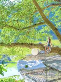 被朋友圈問爆的 西雙版納 雨林江景Villa